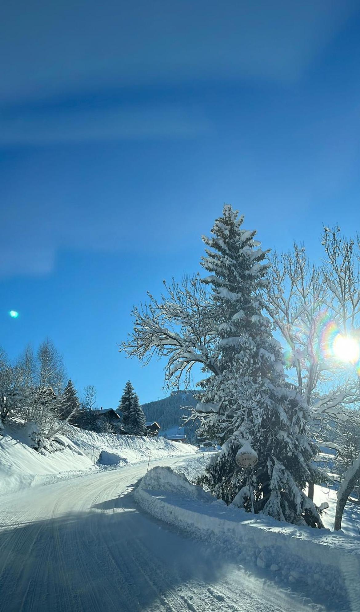 Le Chalet Du Cret - 8 Pers, Tout Confort Avec Jacuzzi ノートル・ダム・ド・ベルコンブ エクステリア 写真
